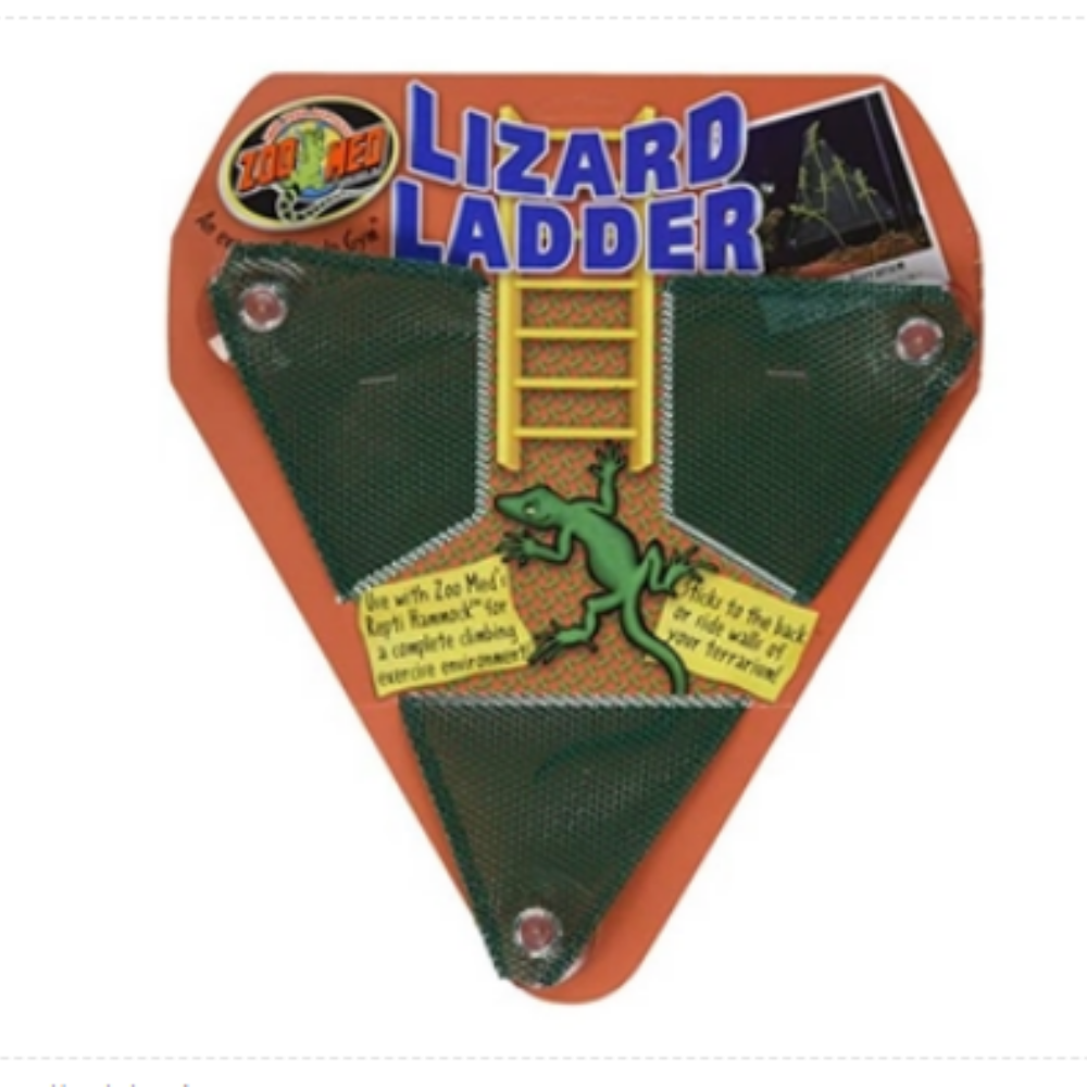 The best toys for pet lizards in 2025 for enrichment | PetsRadar