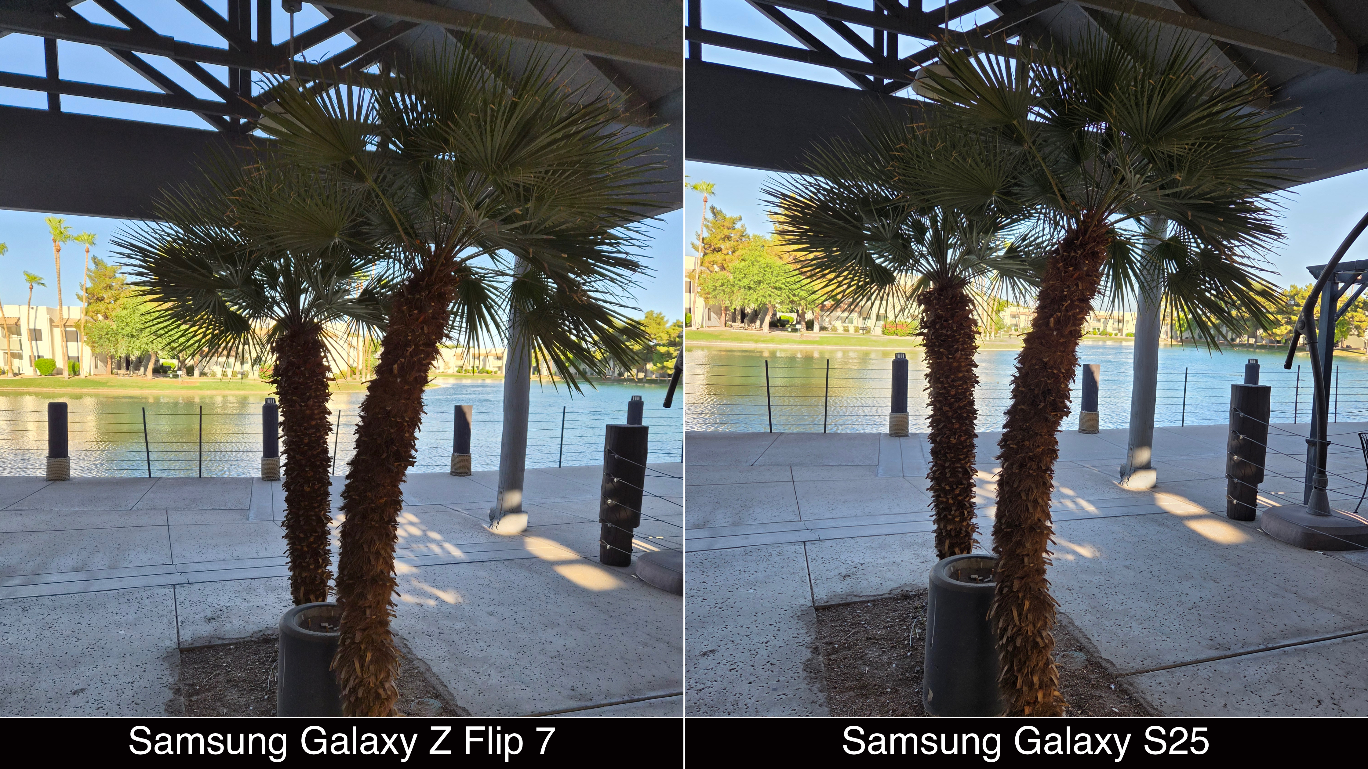 Shots captured with the Samsung Galaxy Z Flip 7 and Galaxy S25.