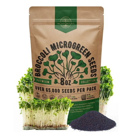 Organo Republic Broccoli Sprouting &amp;amp; Microgreens Seeds 8oz - 65,000 Non-Gmo Heirloom Seeds