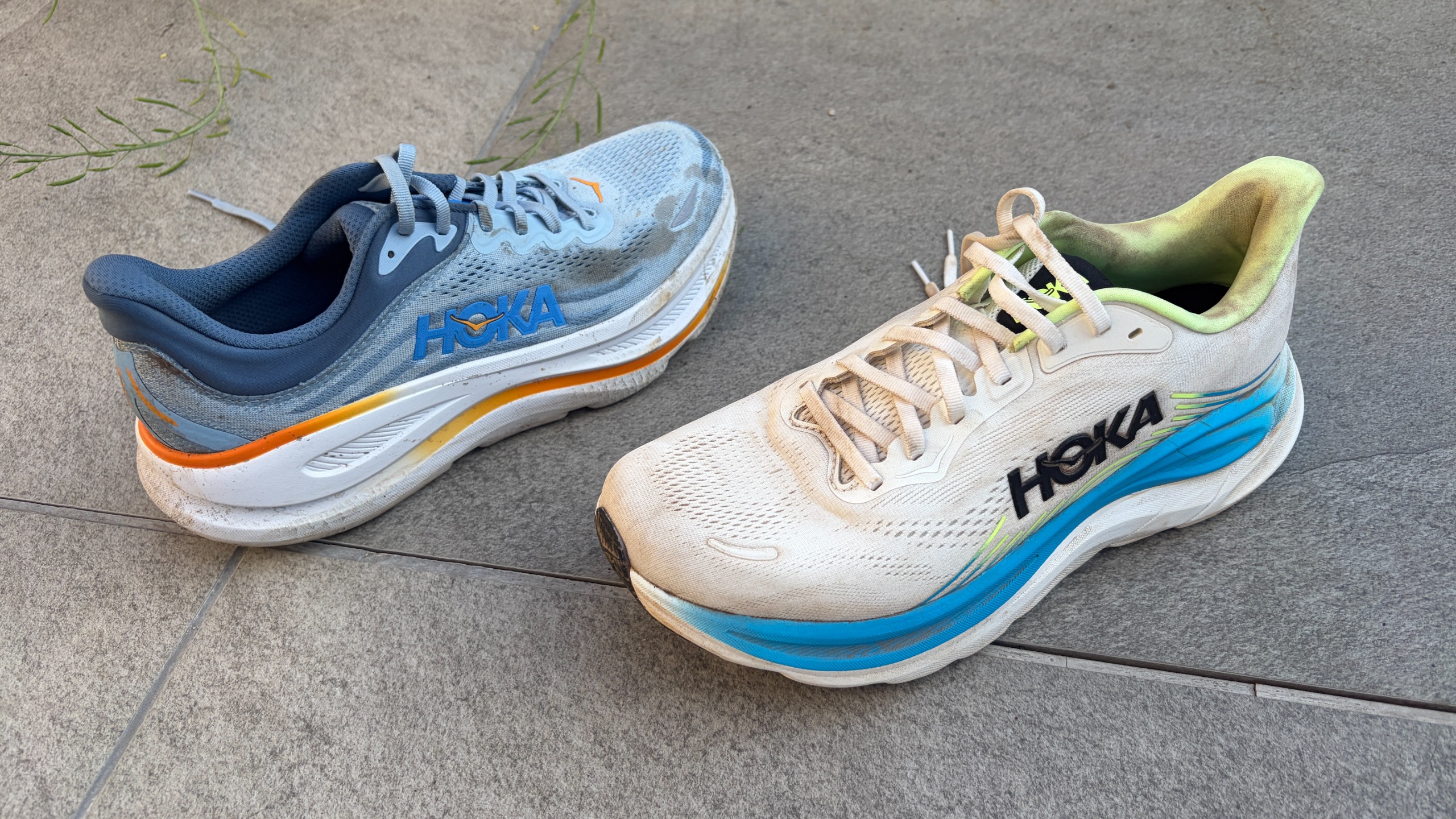 Hoka Bondi 9 vs Hoka Clifton 11