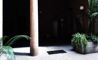 Courtyard with many plants