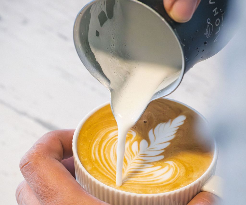 Milk frother vs steam wand which is best for frothy coffee? Homes