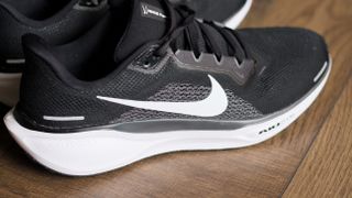 Nike Pegasus 41 in black