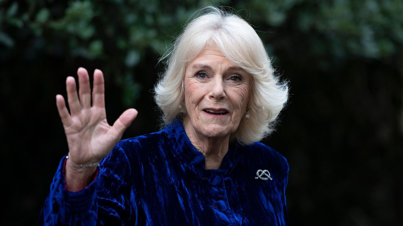 Camilla, Duchess of Cornwall decorates the Clarence House Christmas Tree virtually with children from Helen &amp; Douglas House Hospice 