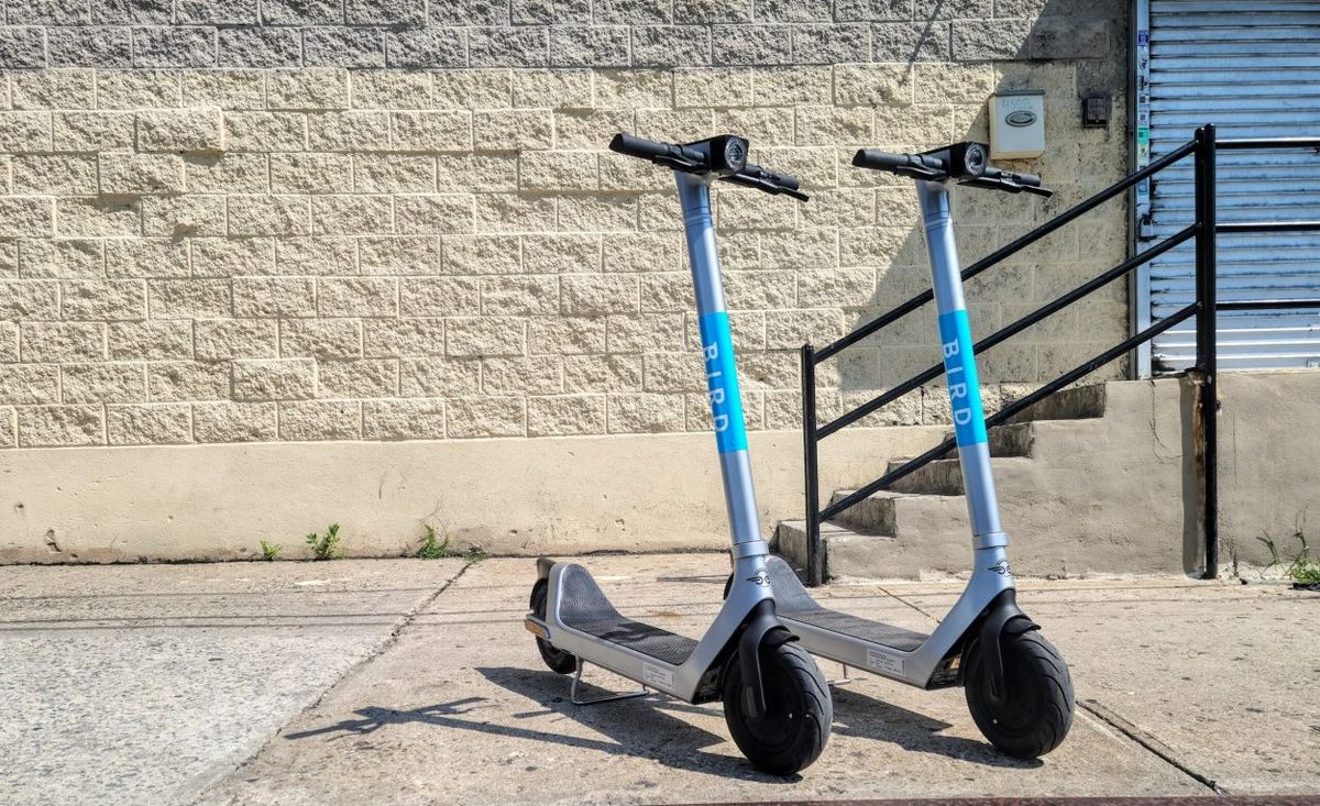 Bird electric scooters