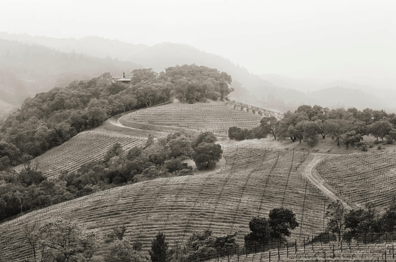 Harlan Estate and vineyards