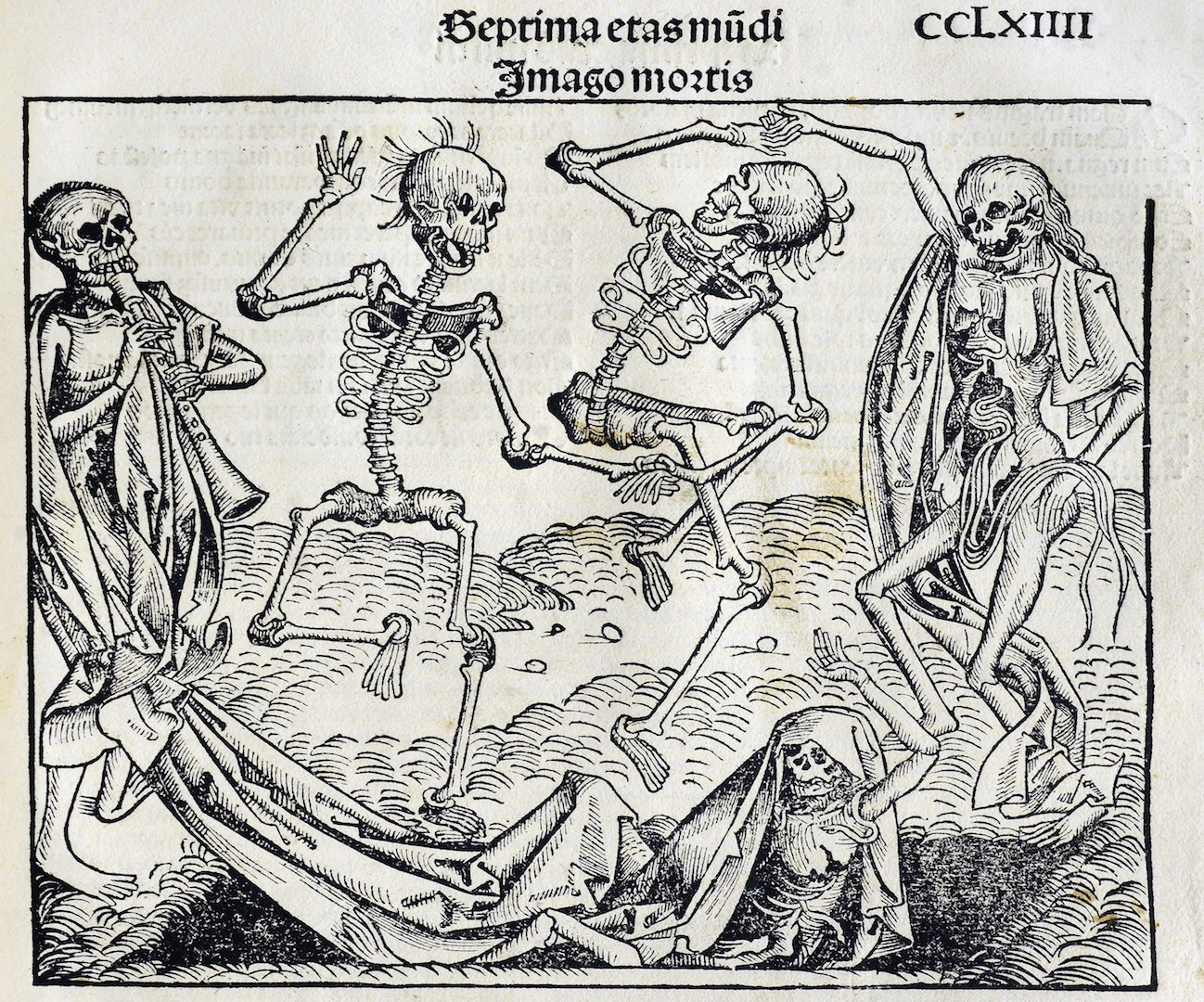 an essay about the black death