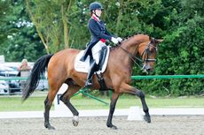 how to ride sitting trot Credit: Karen Chaplin
