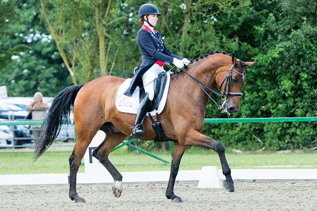 how to ride sitting trot Credit: Karen Chaplin
