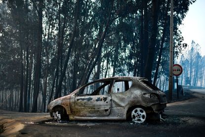 The aftermath of a wildfire in Portugal