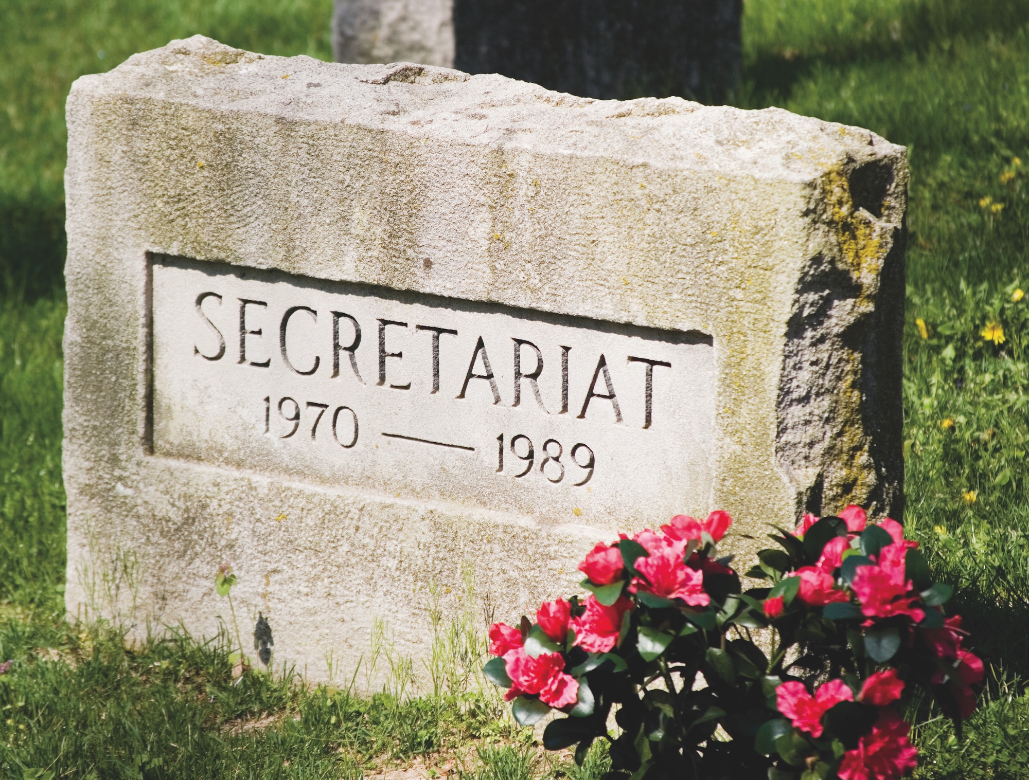 Gravestone of racehorse Secretariat with a pot of flowers.