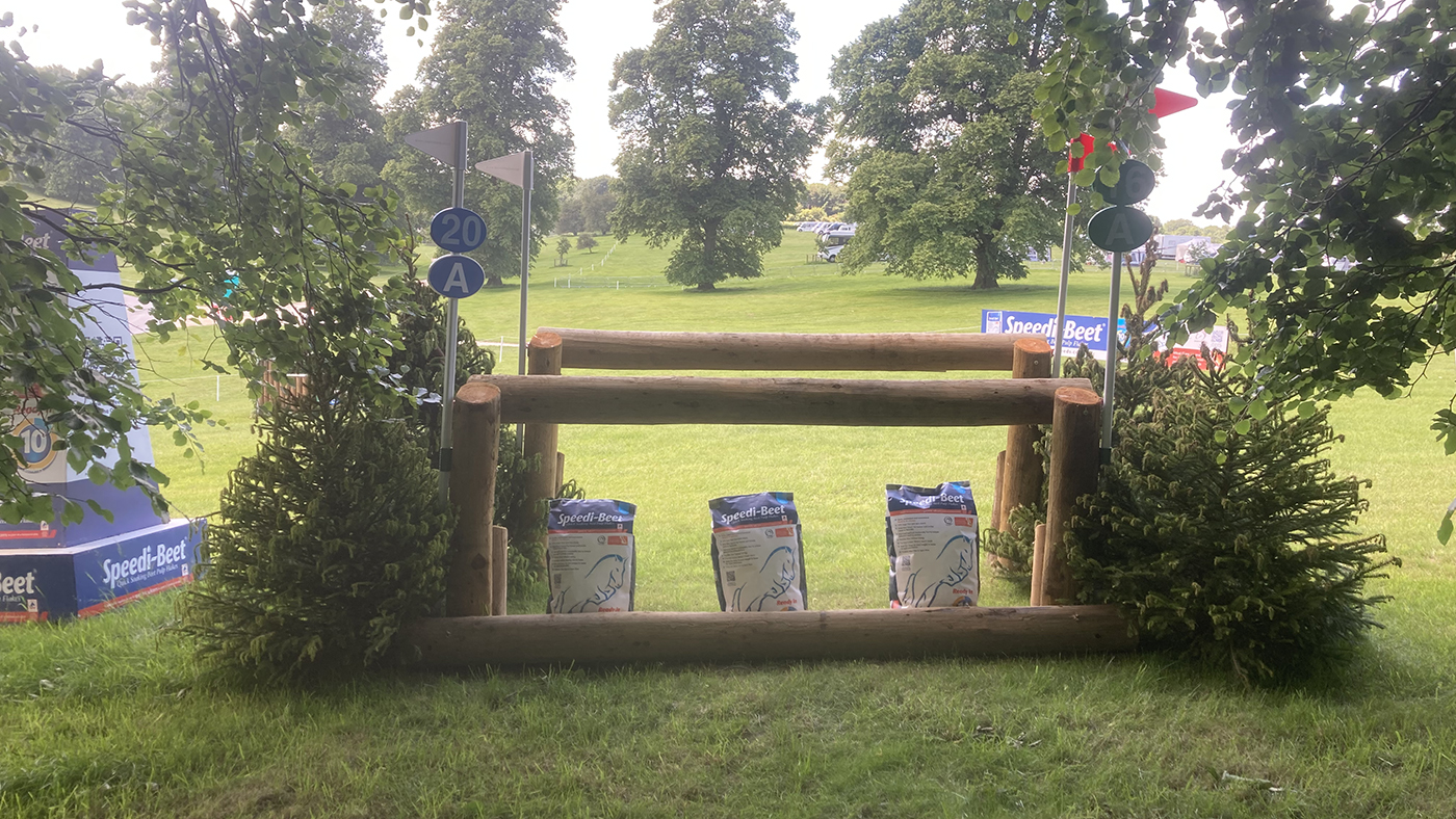 Fence20a