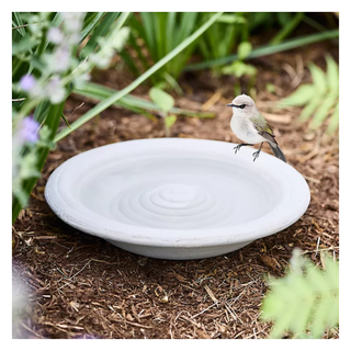 A ceramic basin bird bath