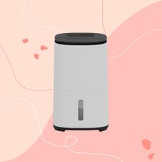meaco arete two 20L dehumidifier on a pink graphic background