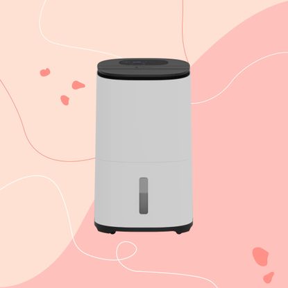 meaco arete two 20L dehumidifier on a pink graphic background