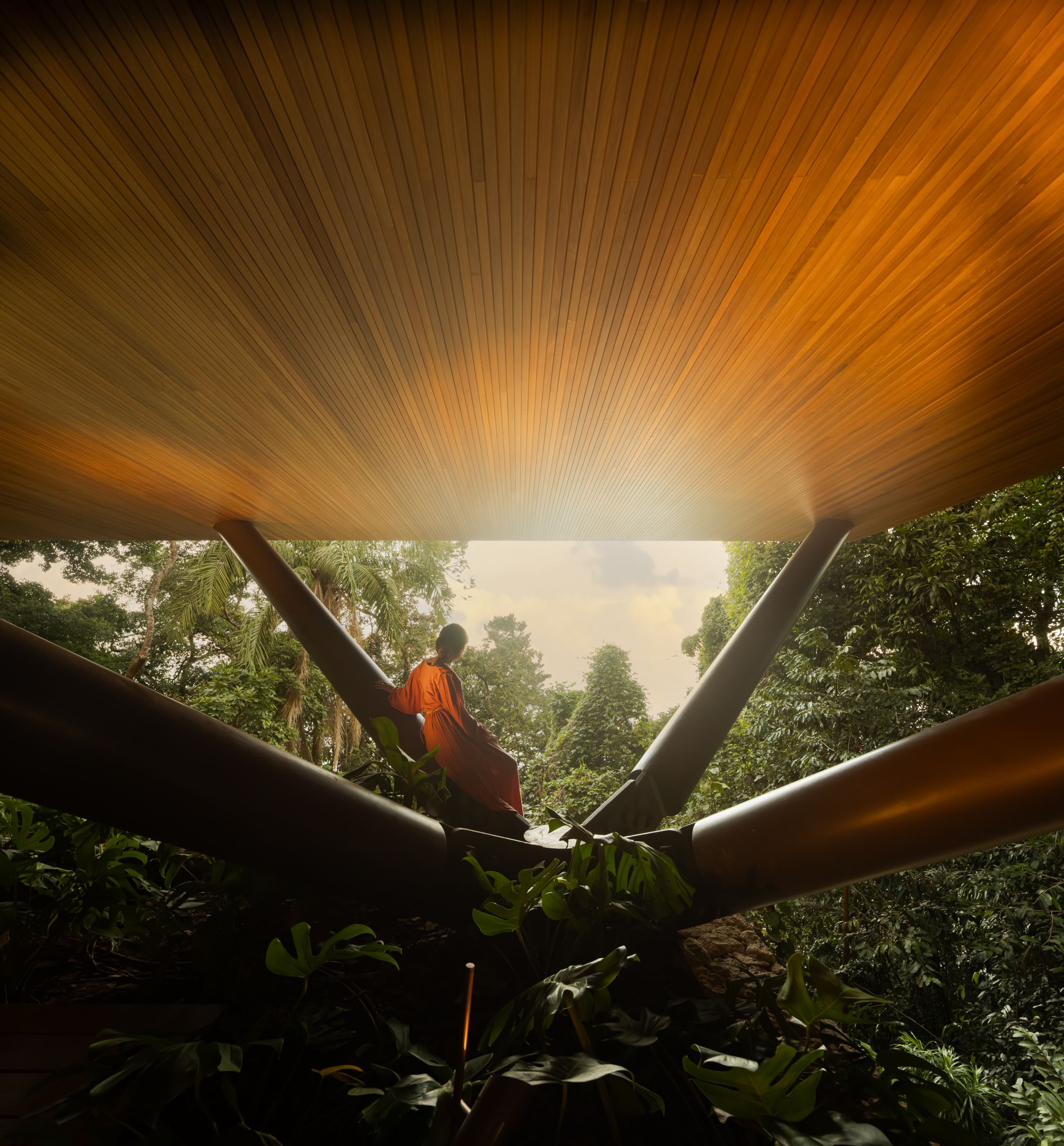 This Brazilian home lets you live among the treetops