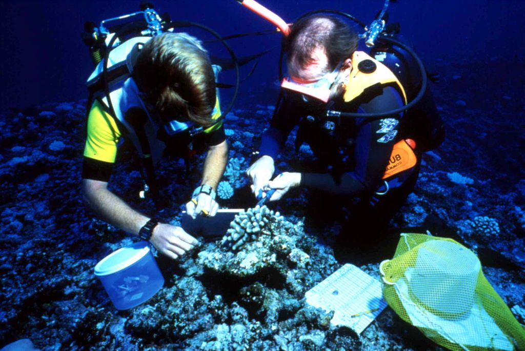 Great Barrier Reef. 