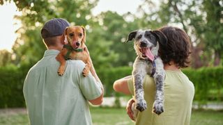 Man and woman holding dogs