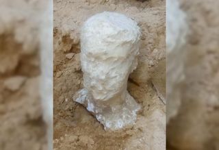 This alabaster head of a man found near the sarcophagus may depict the person who was buried there.