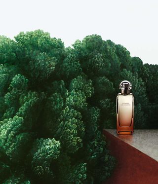 Hermes Jardin Fragrance launch, studio image