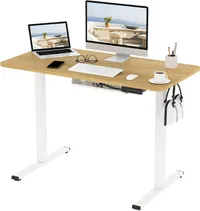FlexiSpot EF1 £329 £216 at Amazon (£113 off)