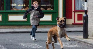 We can't decide who's cuter in Corrie, Chesney or Schmeichel? After being found on Tyrone's doorstep in 2004 the Great Dane survived being hit by Claire Peacock's car
