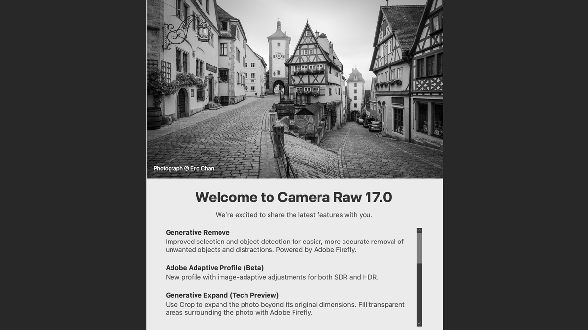 Screenshot of the Adobe Camera Raw software splash screen