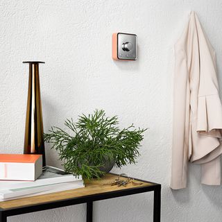 room with white wall potted plant and hive thermostat