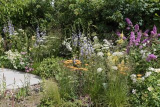 The urban pollinator garden designed by Caitlin Mclaughlin for Hampton Court Flower Show 2019