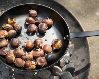 toasting chestnuts with fallen fruits cooking accessory