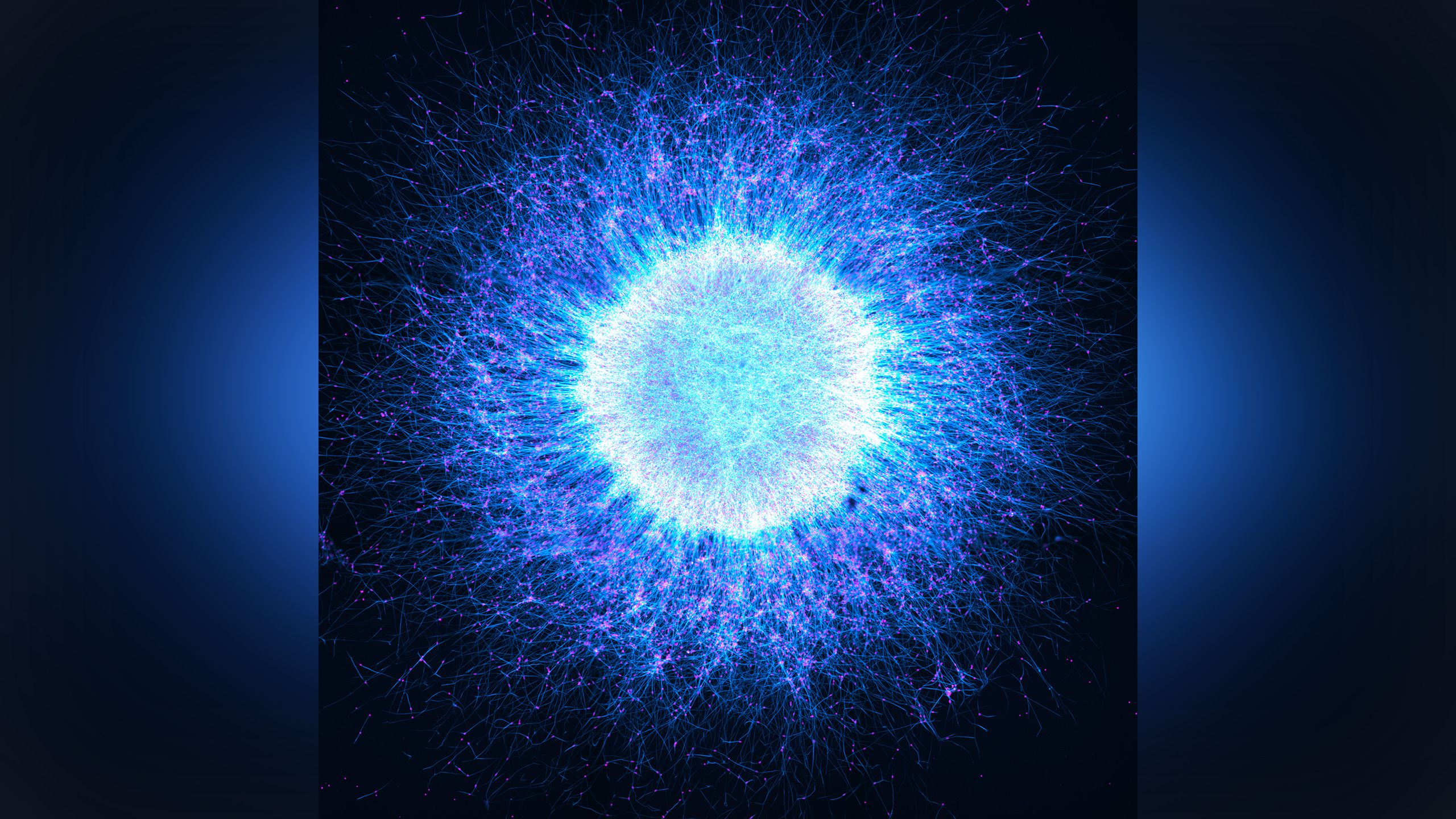 Microscopy Contest Winner Shows Biology-Cosmos Parallels