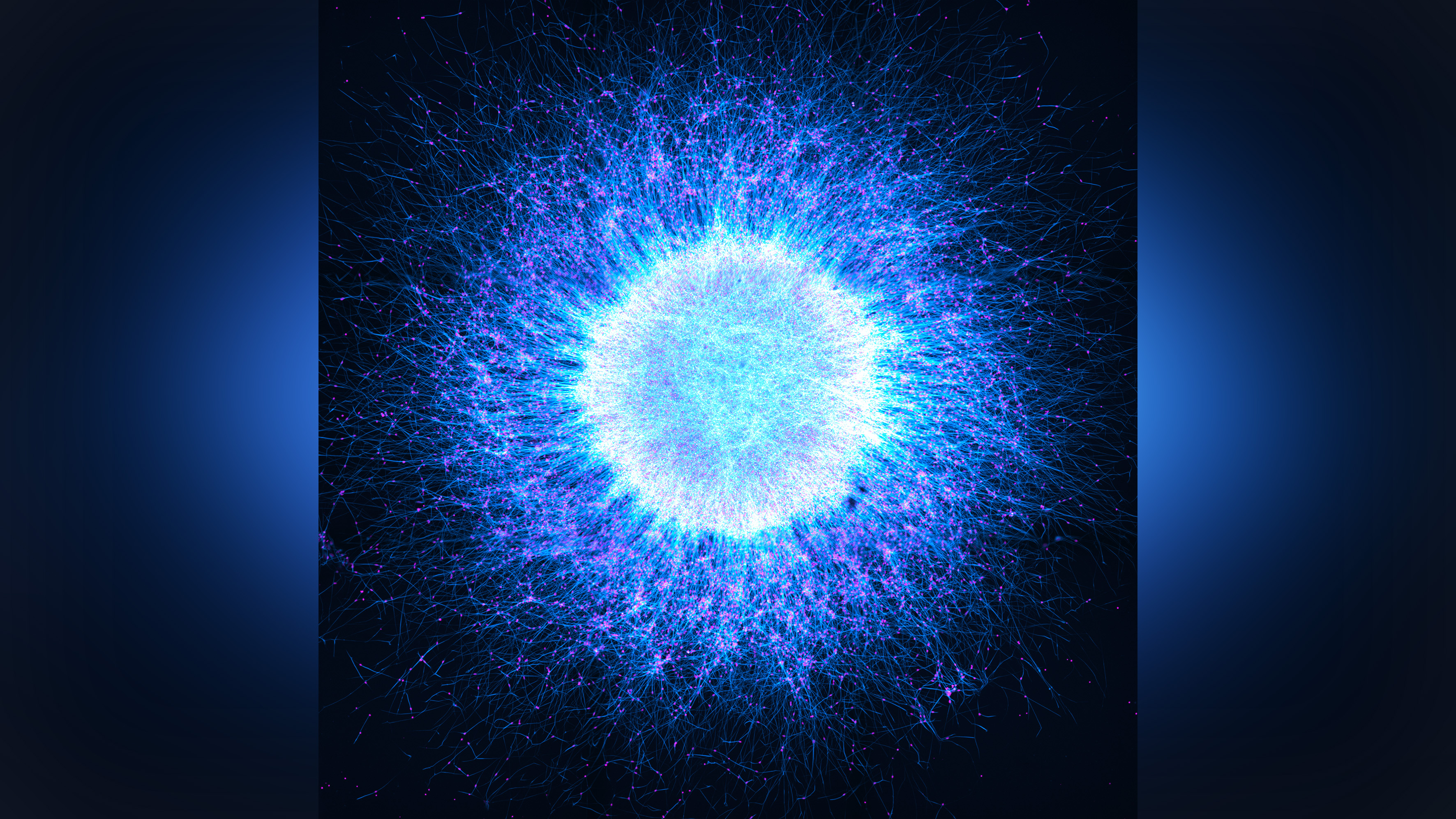 Microscopic image of brain cells. 