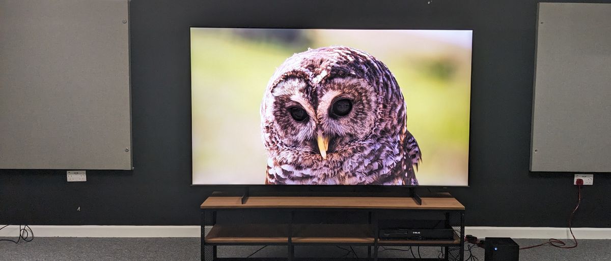 Samsung CU8000 with owl on screen 