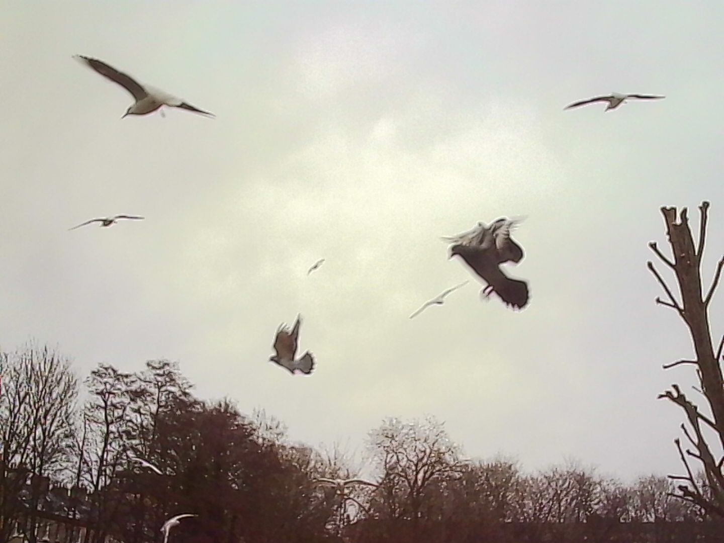 A photo taken on a Kodak Charmera keychain camera