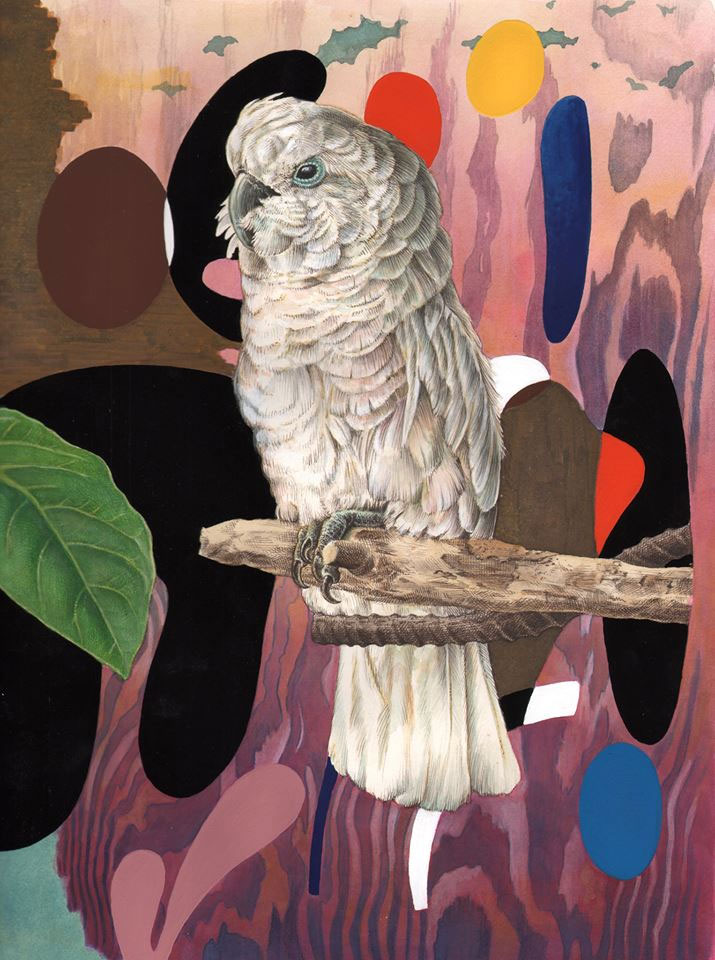 2019's rising stars of illustration: Adam Latham