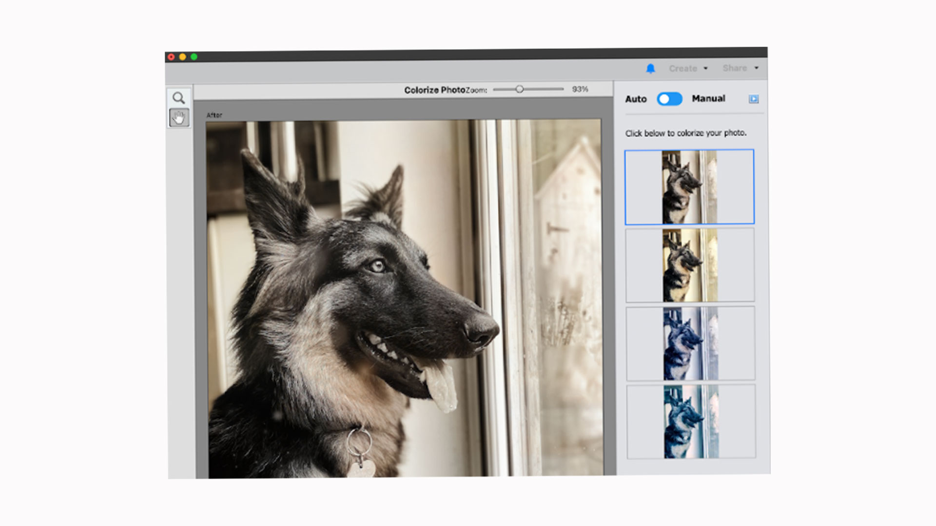 Adobe Photoshop Elements review: Image shows filter options on a dog photo.