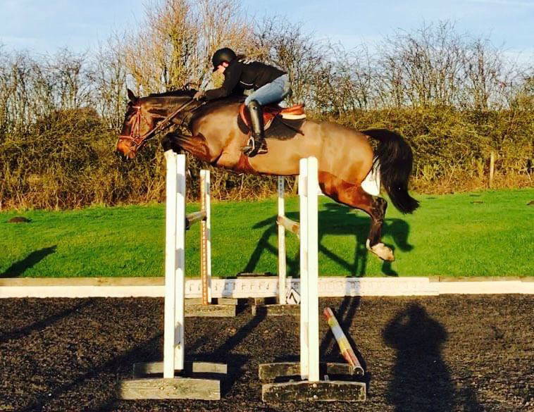 Medoc De Toxandria jumping in his younger days.