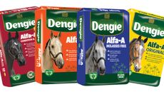 Dengie-pack-shots-2.jpg