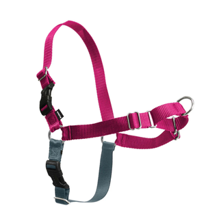 PetSafe Easy Walk No-Pull Dog Harness 