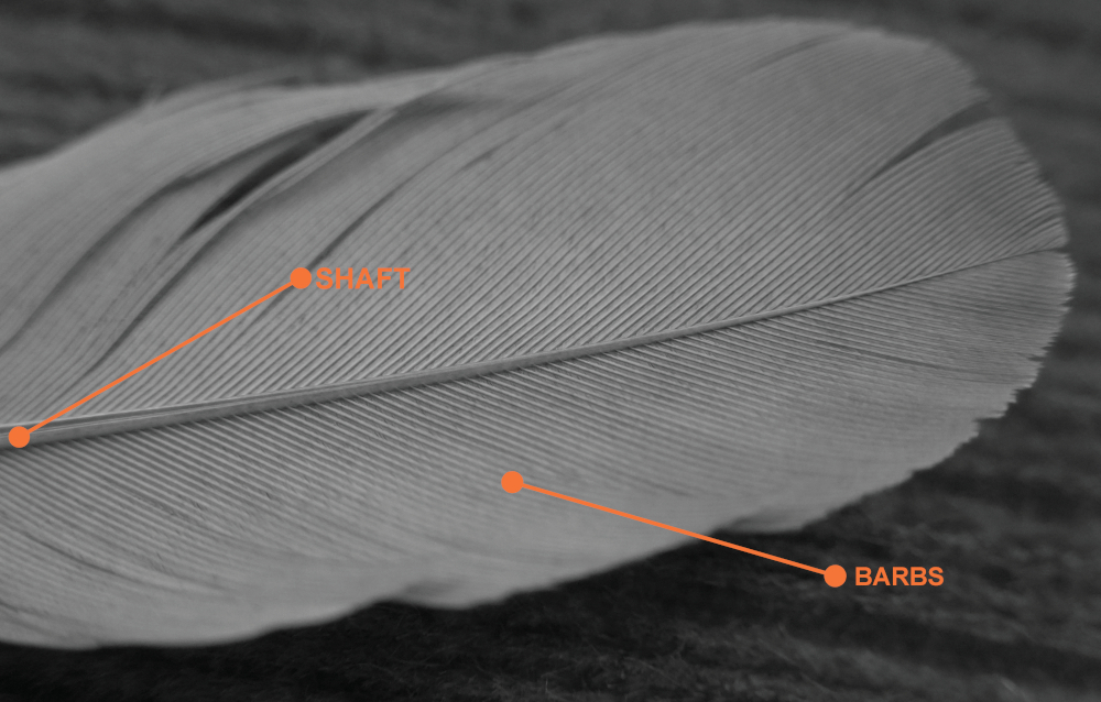Follow Mario Leone's tutorial to use Houdini 20 feather tool, image 1