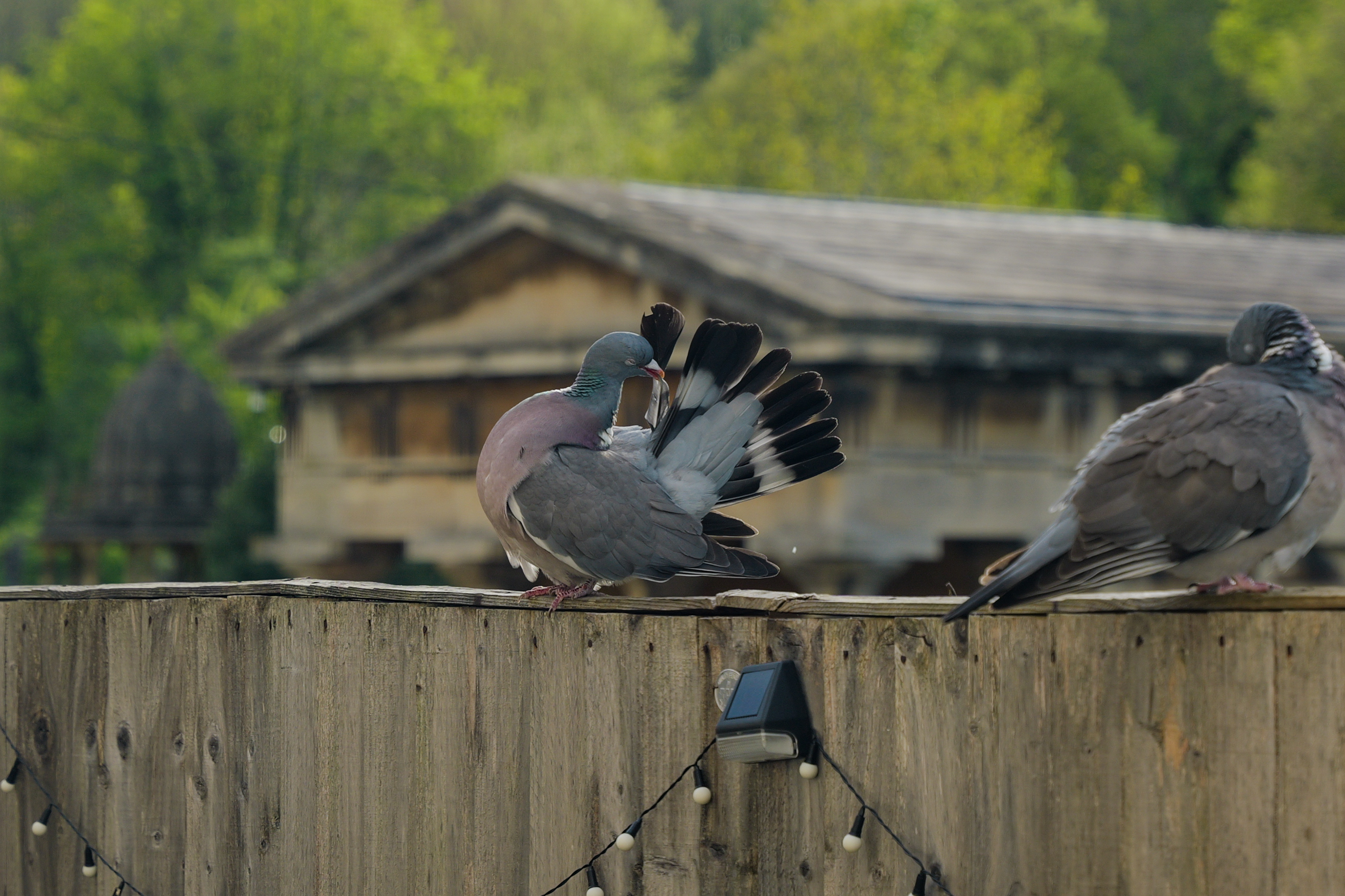 A photo taken on a Leica SL3-S mirrorless camera