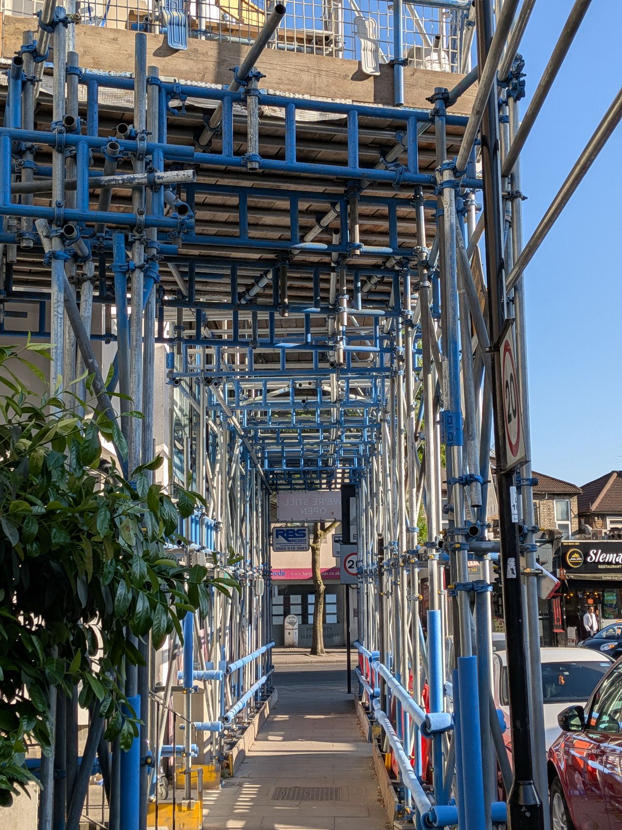 A photo captured on the Google Pixel 9a
