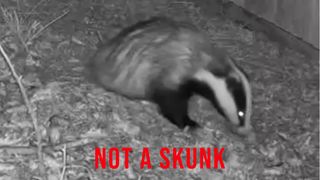 Ring camera's A.I. is fooled by these very normal types of wildlife. What seems to be the problem?