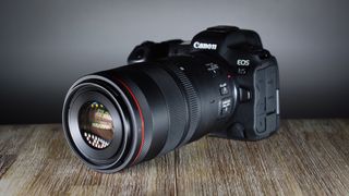 Canon RF 100mm f/2.8L IS USM Macro lens on Canon EOS R5