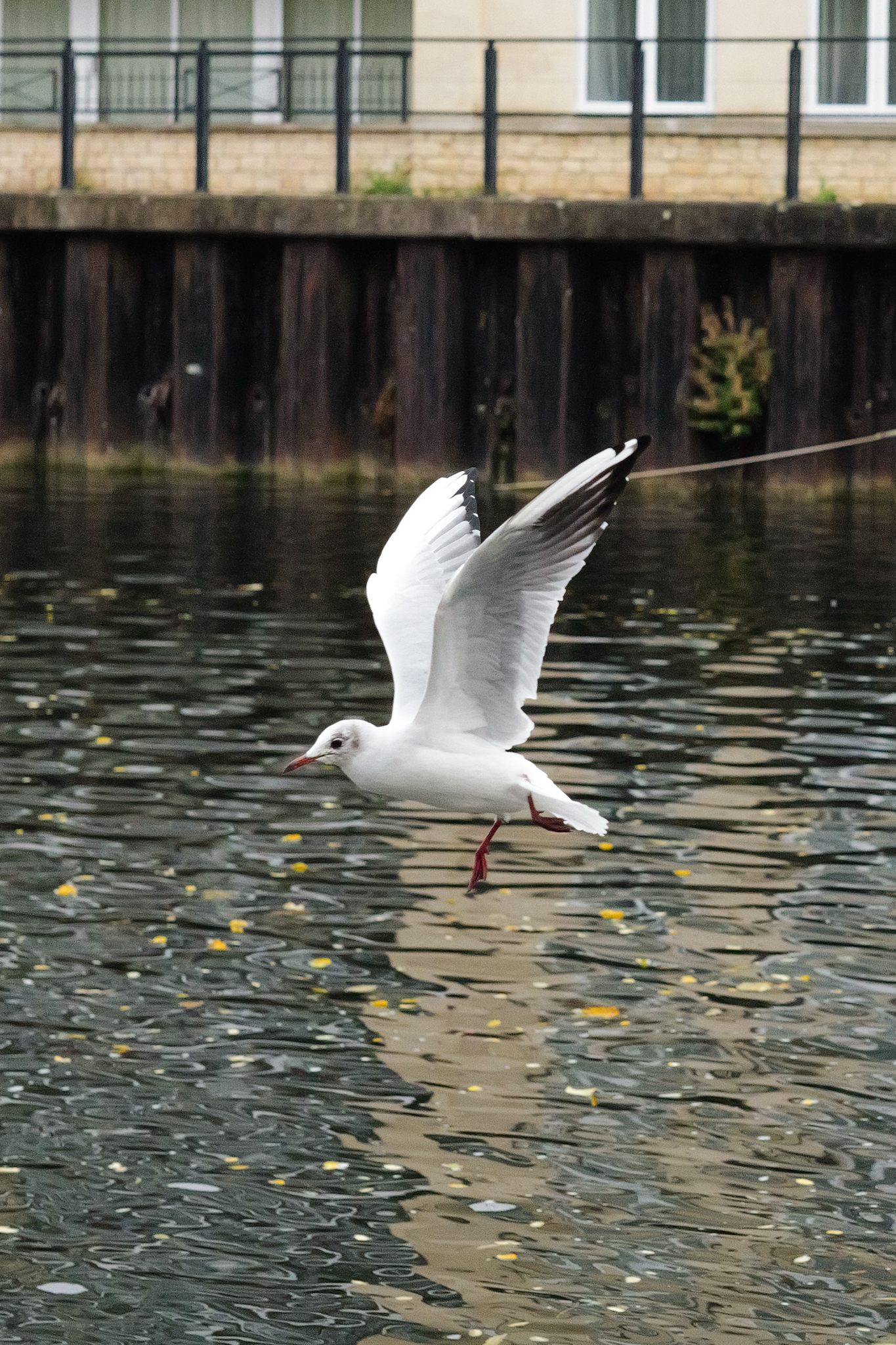 A photo taken on a Leica SL3 full frame mirrorless camera