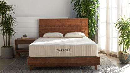 One of the beds in the Avocado mattress lawsuit, the Avocado Green mattress, in a contemporary bedroom