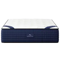 The DreamCloud Mattress
Read more: