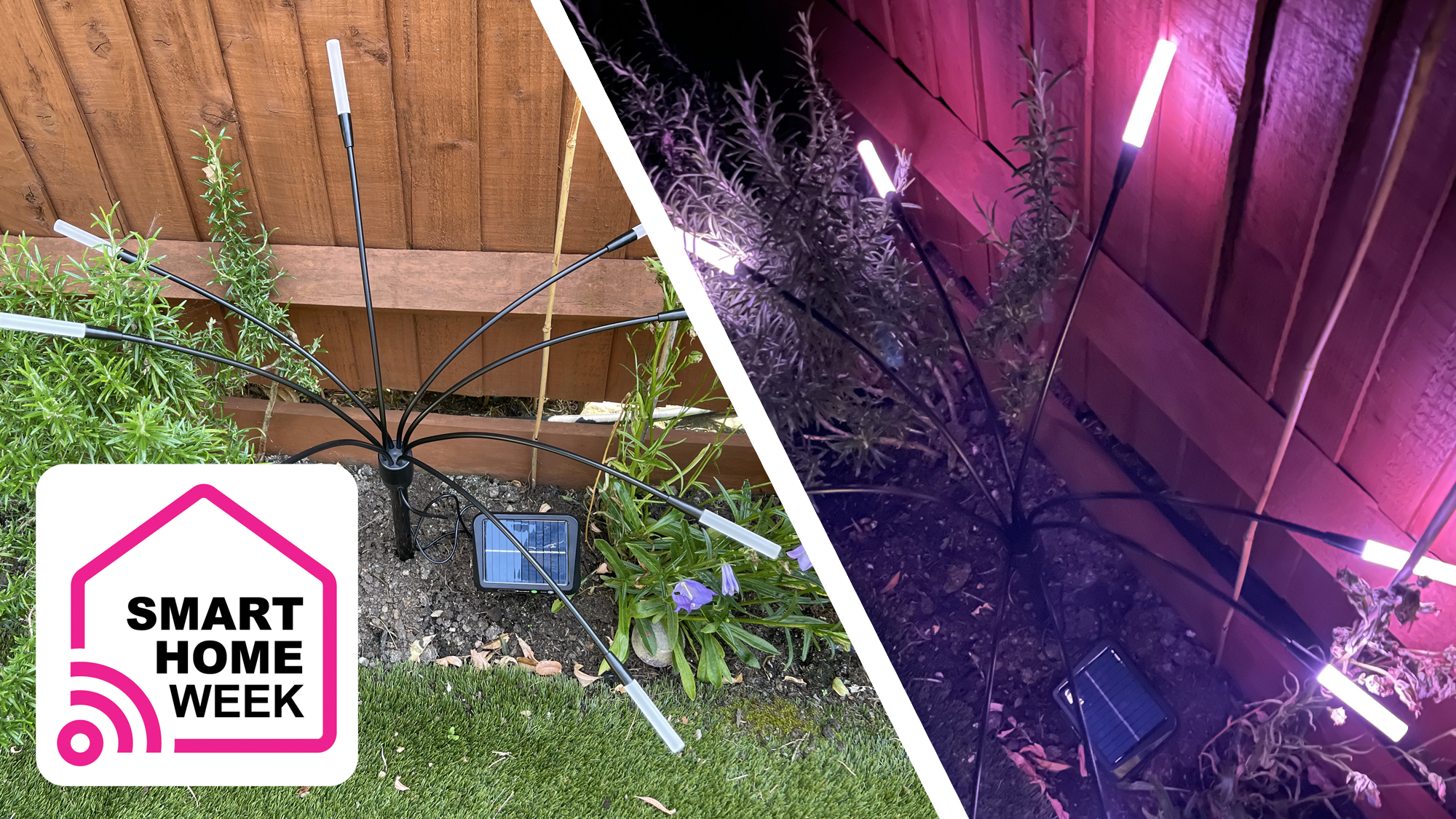 Nanoleaf Solar Garden Lights switched off during the day and illuminated purple at night