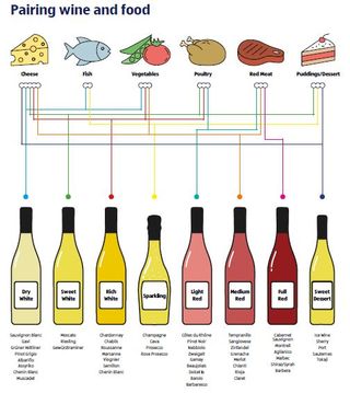 Aldiploma aldi wine school info graphic wine pairings with food