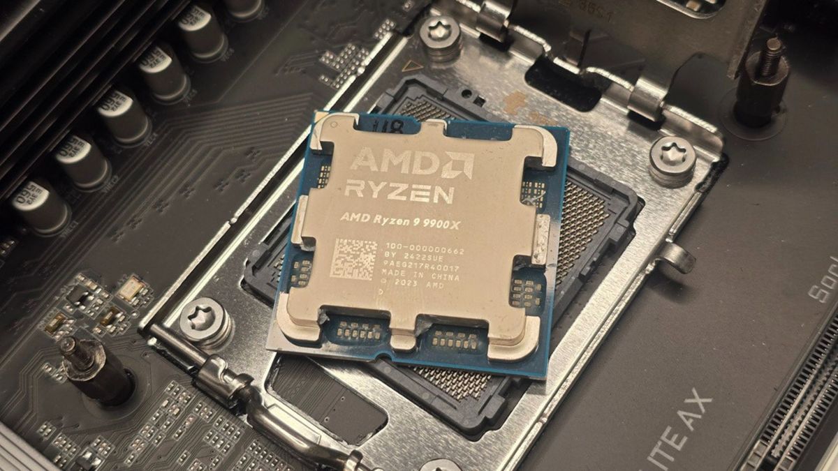 AMD Ryzen 9 9900X review: 